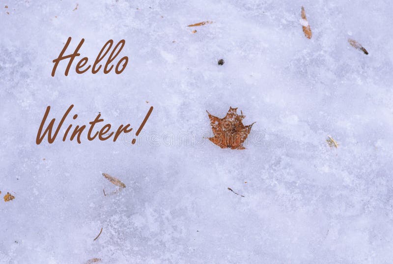 第一霜和雪户外,寒假的概念 自然平的位置,顶视图 你好冬天!橙色干枫叶 免版税库存图片 第一霜和雪户外,寒假的概念 自然平的位置,顶视图 你好冬天!橙色干枫叶 免版税库存图片